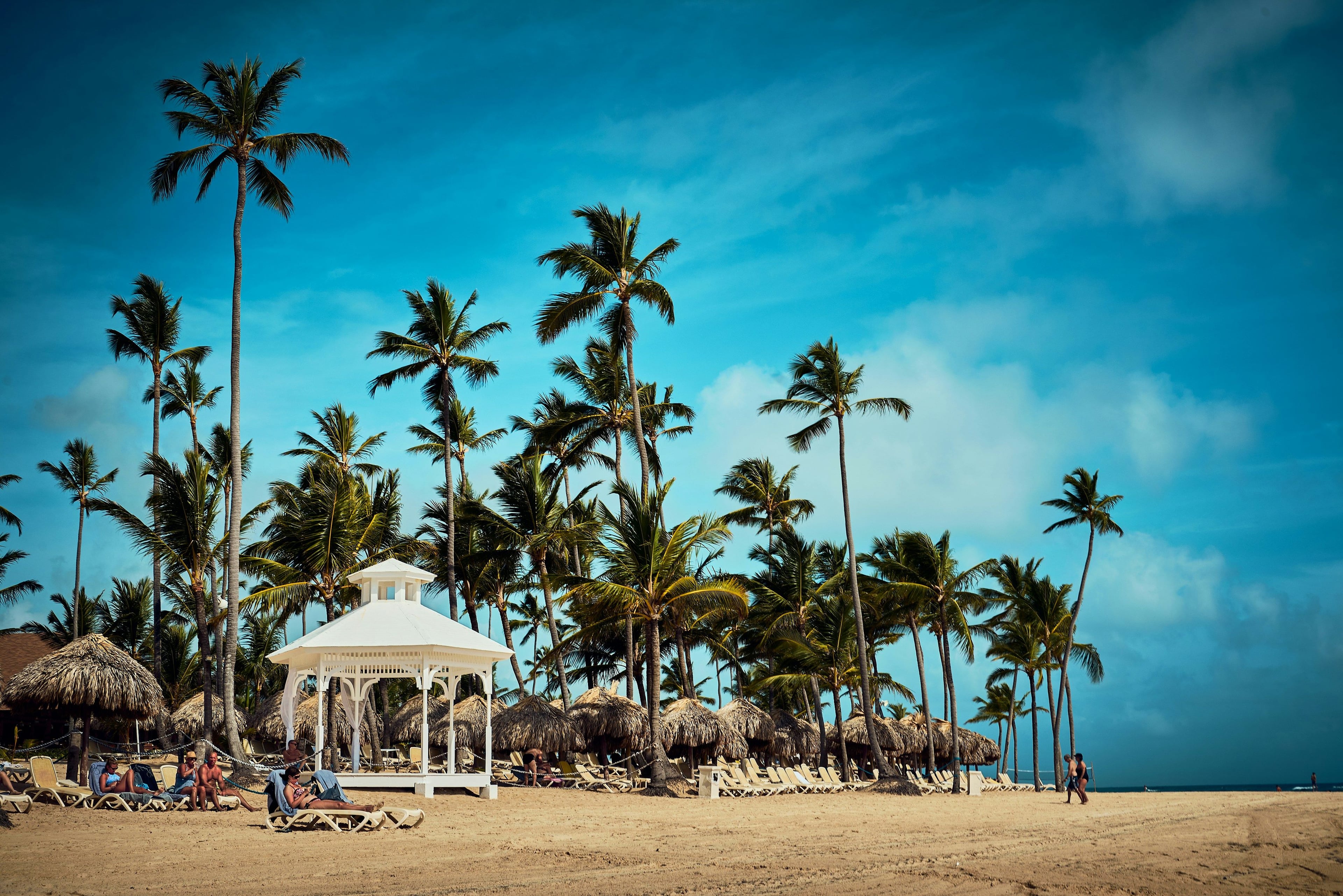 All Punta Cana Excursions in One Place